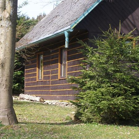 Chata Dvorecna Villa Loucovice Luaran gambar