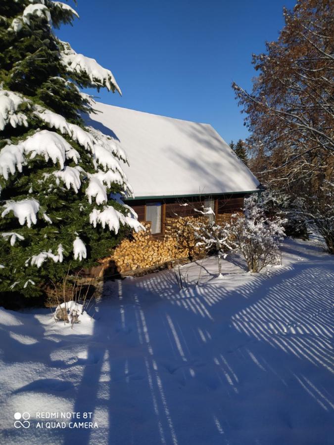Chata Dvorecna Villa Loucovice Luaran gambar