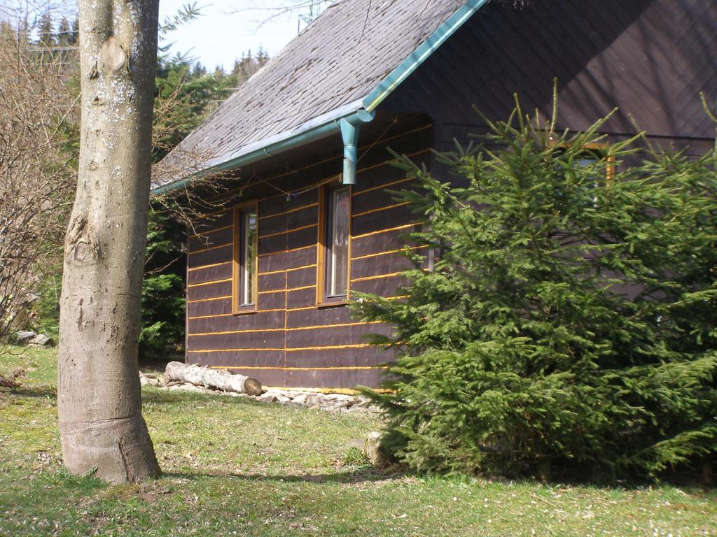 Chata Dvorecna Villa Loucovice Luaran gambar