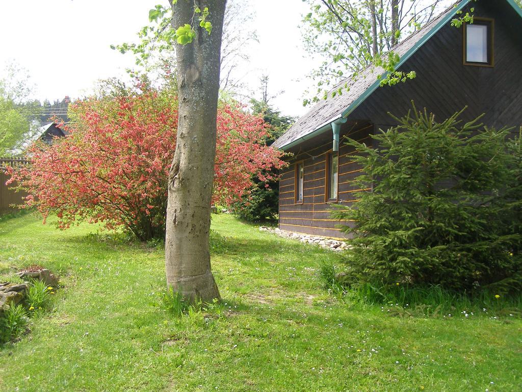 Chata Dvorecna Villa Loucovice Luaran gambar