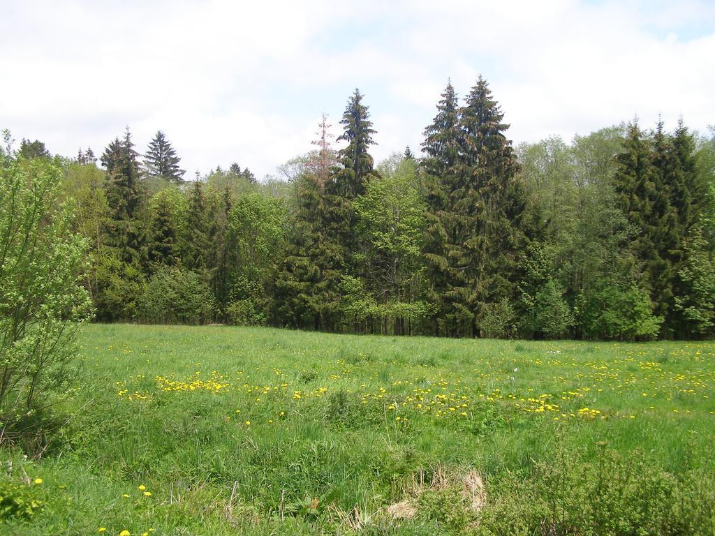 Chata Dvorecna Villa Loucovice Luaran gambar