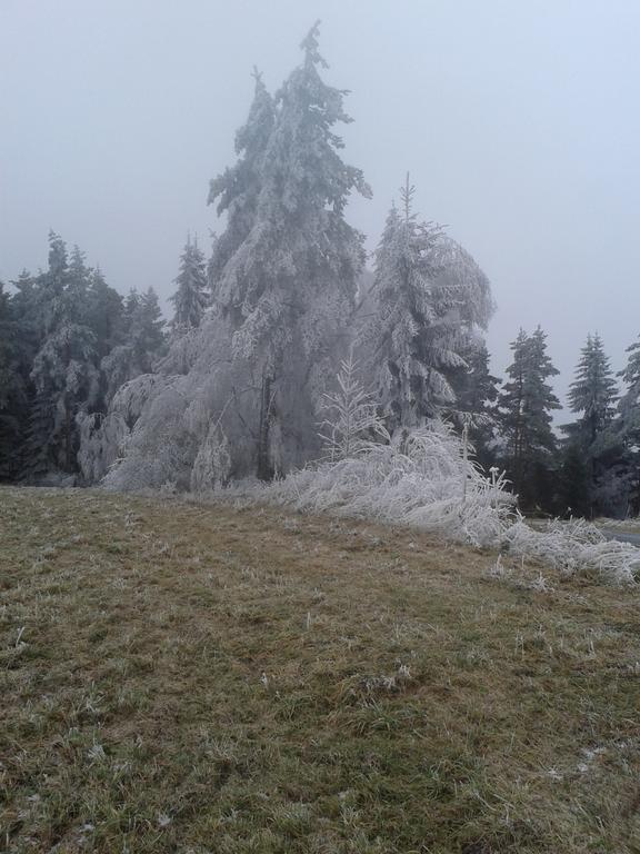 Chata Dvorecna Villa Loucovice Luaran gambar