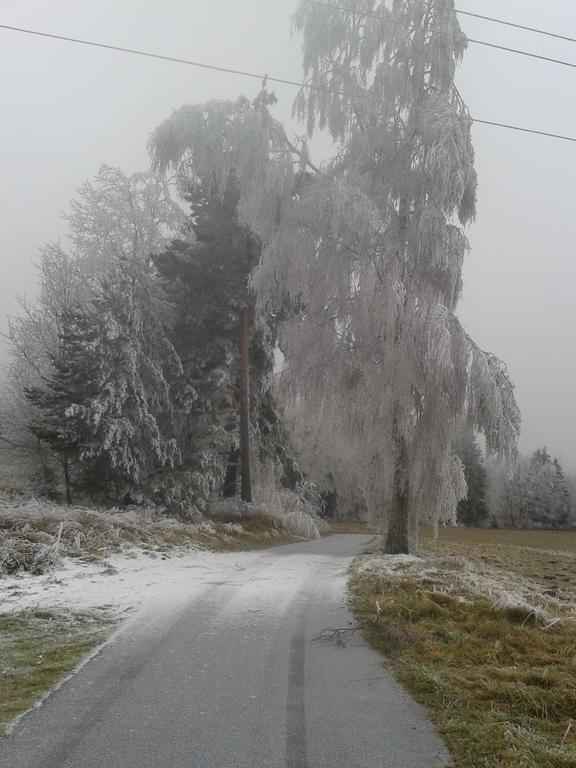 Chata Dvorecna Villa Loucovice Luaran gambar
