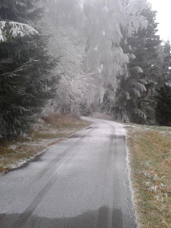 Chata Dvorecna Villa Loucovice Luaran gambar
