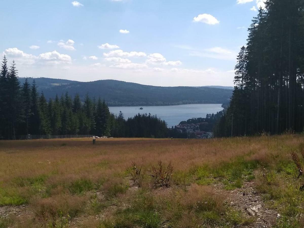 Chata Dvorecna Villa Loucovice Luaran gambar
